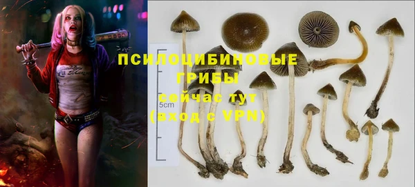 MDMA Инсар